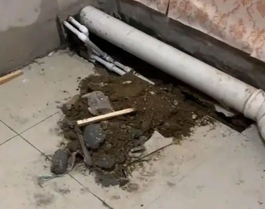 石楼卫生间漏水检测哪家好