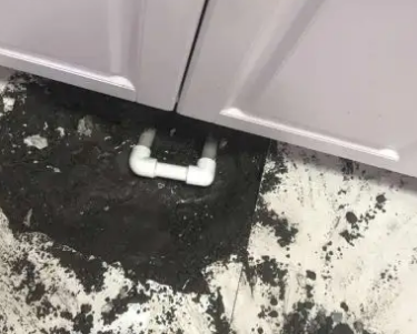 石楼查漏水哪家好
